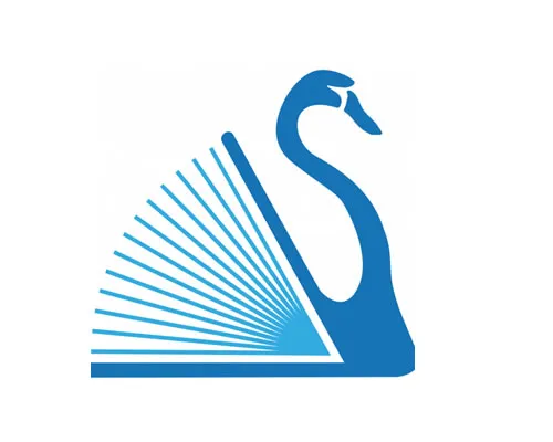 LIR Logo