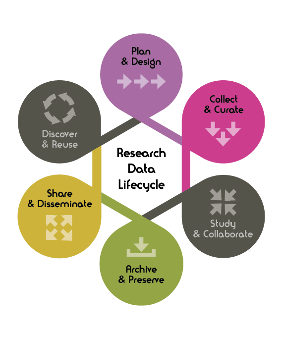 Research Data Lifecycle diagram showing 6 different coloured circles representing stages in data management