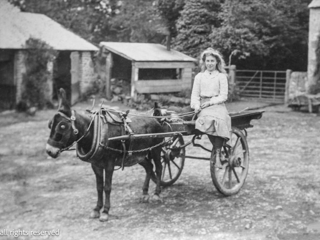 A woman seated in a horse-drawn cart, enjoying a scenic outdoor ride through a picturesque landscape.